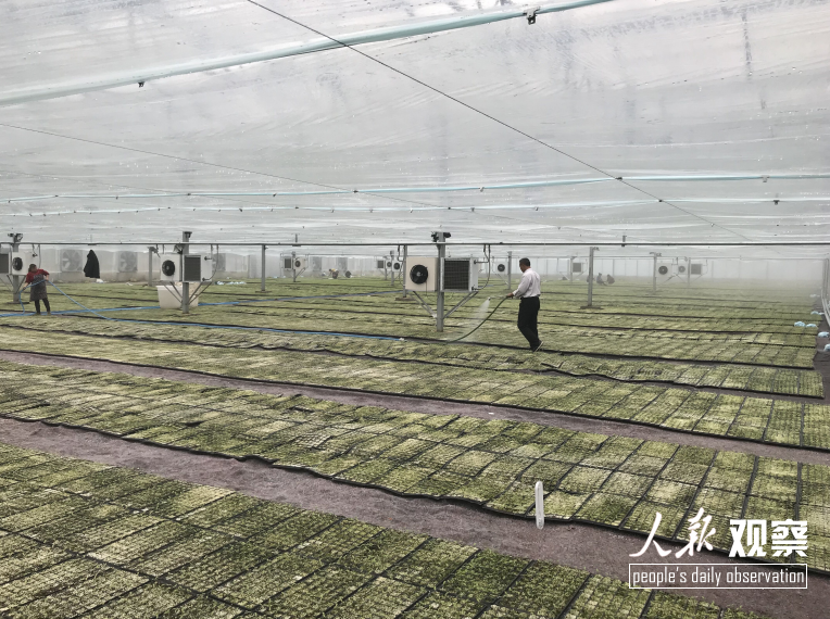 贵州镇宁：聚焦乡村振兴做好“三农”队···