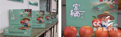 8.png