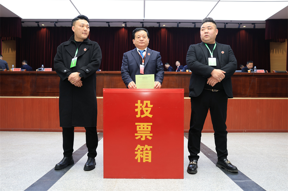 1765163309194990.jpg 6.jpg