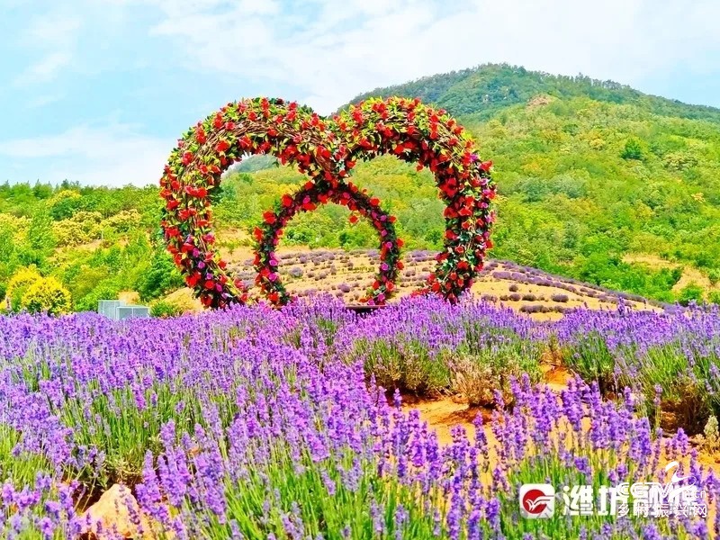 微信图片_20260327100731.jpg