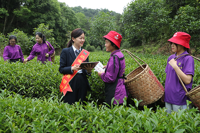 武夷山农商行助力茶产业发展