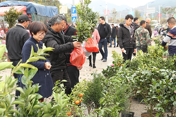 武夷山五夫柴头会（俗称“二七会”）苗···