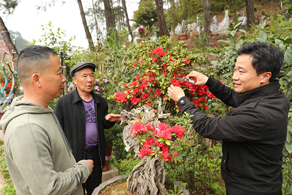 福建武夷山科技特派员助力花卉生产